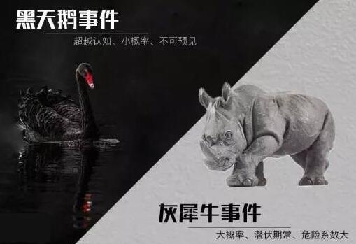 嘉丰瑞德